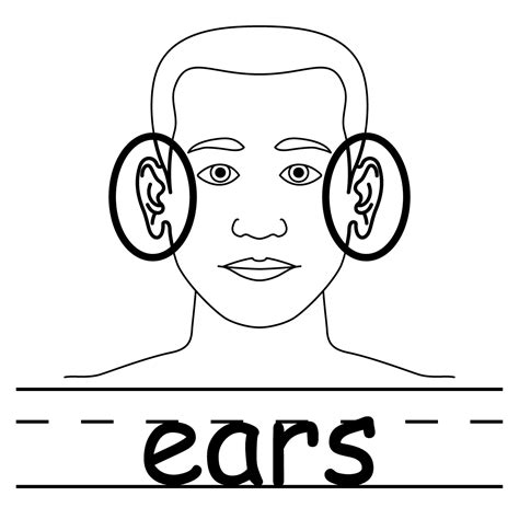 Two Ears Clip Art Clipart Best
