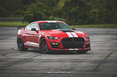 2021 Shelby Gt500 Color Options Mustang Fan Club