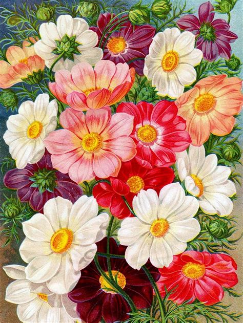 Vİntage Postcard Bouquet Of Varİous Flower Blisse Design Studio