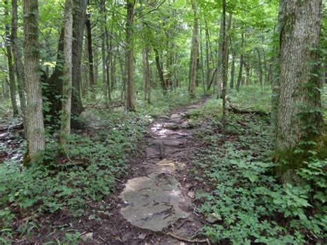 Hiking The Kentucky River Palisades Trail Hobbies On A Budget