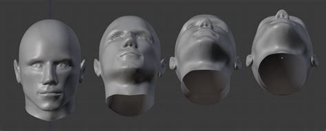 Heads Extreme Angles Reference Human Anatomy For Artists Face Angles Drawing Body Poses