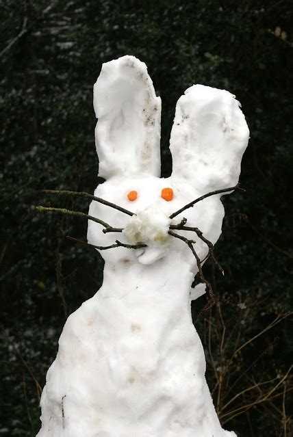 Snow Easter Bunny Flickr Photo Sharing