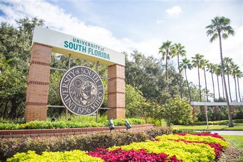 usf ranked among top 50 public universities in u s news and world report ranking the oracle