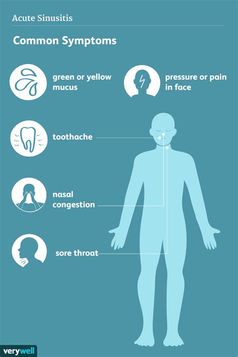 Signes Symptômes Et Complications Des Infections Des Sinus