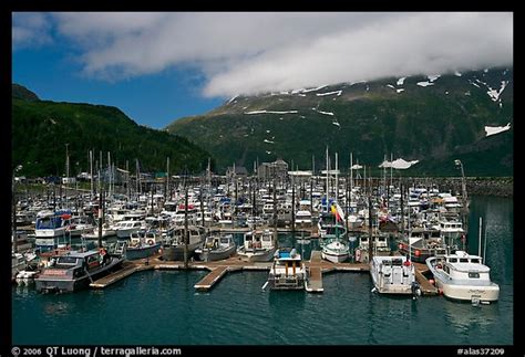 Picturephoto Whittier Harbour And Mountains Whittier Alaska Usa