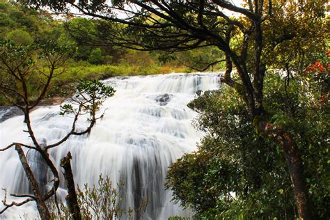 Free Images Landscape Tree Nature Forest Outdoor Waterfall
