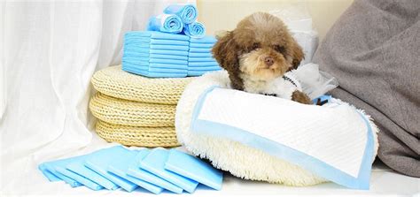 Our training technique works for dogs of all ages, breeds, and sizes! Best Puppy Training Pads 2020, 10 Dog Pee Pad Reviews ...