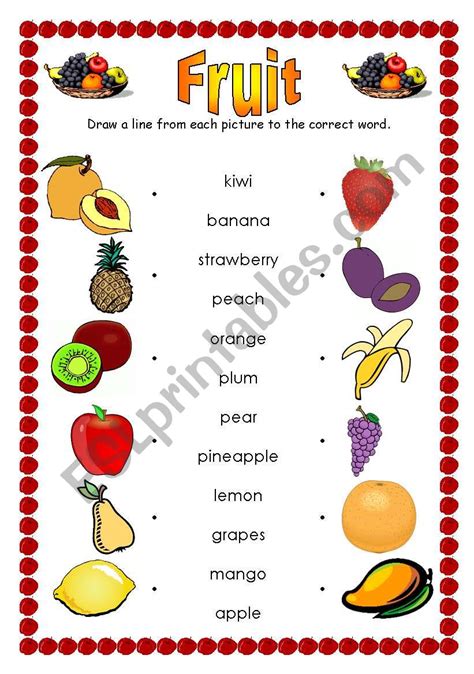 Fruit Matching Esl Worksheet By Bparcher51