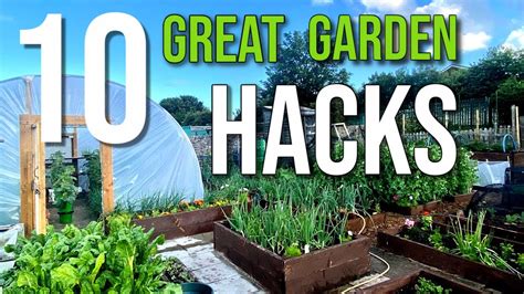 10 Gardening Tips Ideas And Hacks That Actually Work My 10 Tips