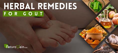 11 Best Herbal Remedies For Gout That Work Fast Effectively