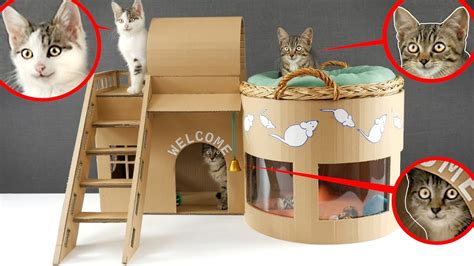 How To Make Amazing Kitten Cat Pet House From Cardboard Youtube