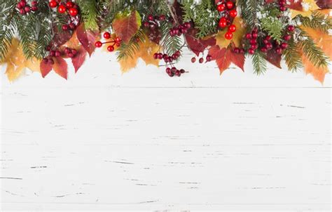 Wallpaper Winter Leaves Snow Berries Background Colorful Maple