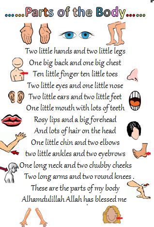 In this guide, we'll look at every popular song structure and how each part of a song fits within a form. Our Homeschool Journey: September 2011