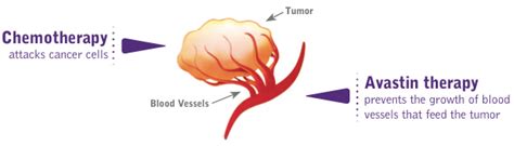 The recommended dosage is 15 mg/kg intravenously every 3 weeks in combination with carboplatin and paclitaxel. Salute Domani - FDA approva Avastin* (bevacizumab) per il ...