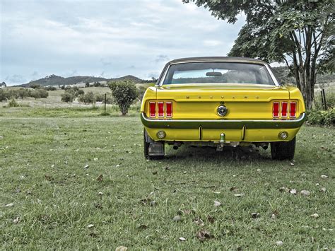 Do you need a driver's license to buy a car? Buying a Salvage Mustang at Auction - Auto Auction Mall