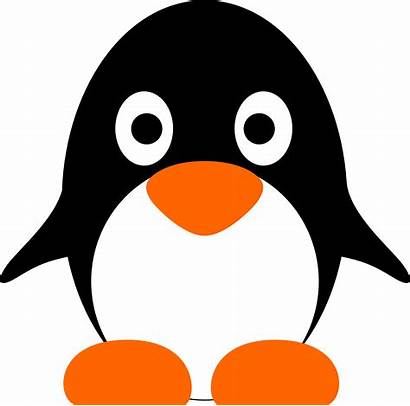 Penguin Clipart Clip Linux Cliparts Pinguin Stream