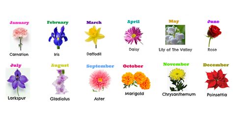 Birth Flowers By Month