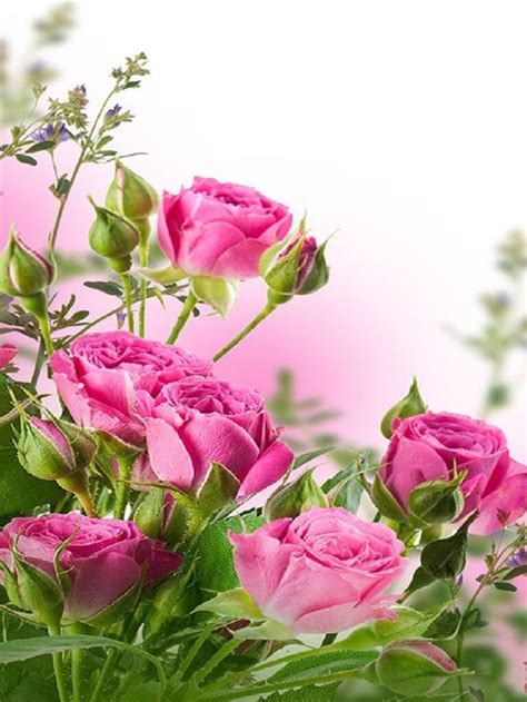 Flowers Hd Wallpaper Lock Screen And Flowers Games By Janice Ong