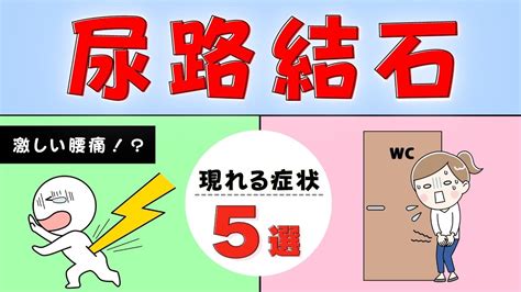 【尿路結石ができると現れる症状5選！】-その症状は"尿路結石"のサインかも？-（おがちゃん先生） - エキスパート - Yahoo!ニュース