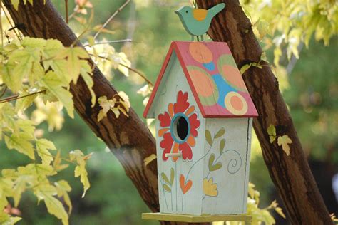 Since bluebirds eat insects, they can provide natural insect control, but avoid areas with heavy application of pesticides. The Best Times to Put Up Birdhouses