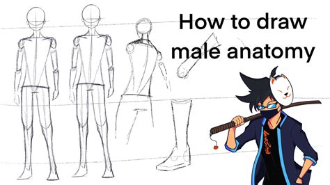 Tutorial How To Draw Bodies For Anime Male Anatomy Youtube