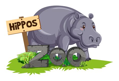 Wild Hippo At The Zoo 447624 Vector Art At Vecteezy