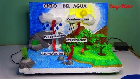 Como Hacer Maqueta Del Ciclo Del Agua Paso A Paso Water Cycle Model Youtube