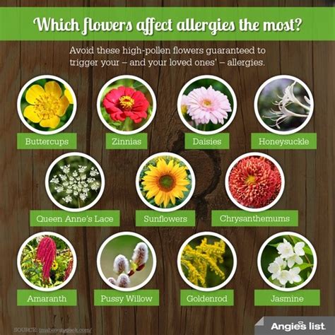 Webmd shows you easy ways you can do it. Pin on Allergy Season