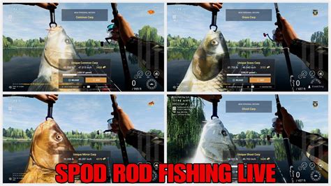 Fishing Planet Spod Rod Fishing For Npb And Oversize Carps Weeping
