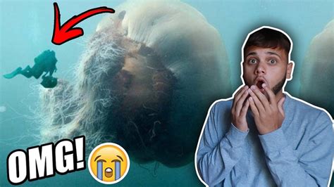 This Will Make You Fear The Ocean Youtube