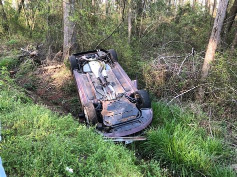 The american south appears to celebrate treating animals like shit, given how many of them end up in shelters up here. Wreck on Highway 1 South - 4/14/18 | H@rold D@wkins | Flickr