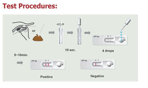 Antigen tests usually provide results diagnosing an active coronavirus infection faster than molecular tests, but antigen. Antigen Rapid- Canine Parvovirus Antigen Test Kit - Dan ...