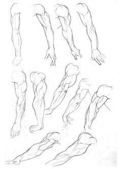 My ultimate guide to learn how to draw muscles for any body types! Arm Muscle | Anatomy for artist | Pinterest | Poker, Pictures and The picture