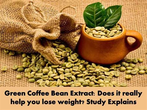 Green Coffee Bean Extract Does It Really Help You Lose Weight Study