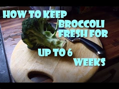 How long does broccoli last at room temperature? How Long Does Broccoli Last Free Download Audio Mp3 and ...