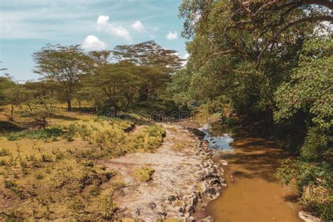 Scenic View Of Athi River At Nairobi National Park Y Stock Image