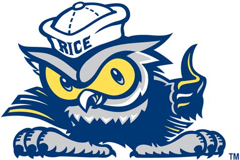 Fantastic And Fabulous Universities In Us Owl Images Mascot Art Logo