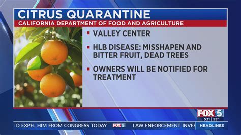 Citrus Quarantine Expanded To Valley Center