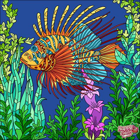 Coloring Book App, Star Coloring Pages, Coloring Apps, Animal Coloring