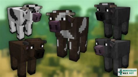 Texture Remodeled Cows Download Textures For Minecraft