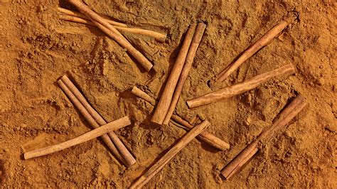 All The Types Of Cinnamon Explained Bon Appétit