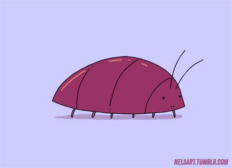 Tired Roly Poly  By Nelson Diaz Find And Share On Giphy