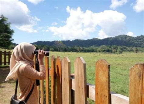 10 Foto Taman Nasional Alas Purwo Tiket Masuk Akses Biaya Menuju Ke