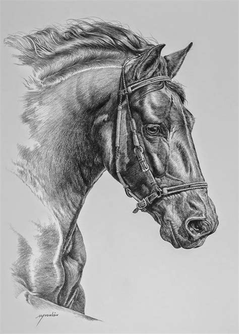 Pintura Moderna y Fotografía Artística : Dibujos de ...