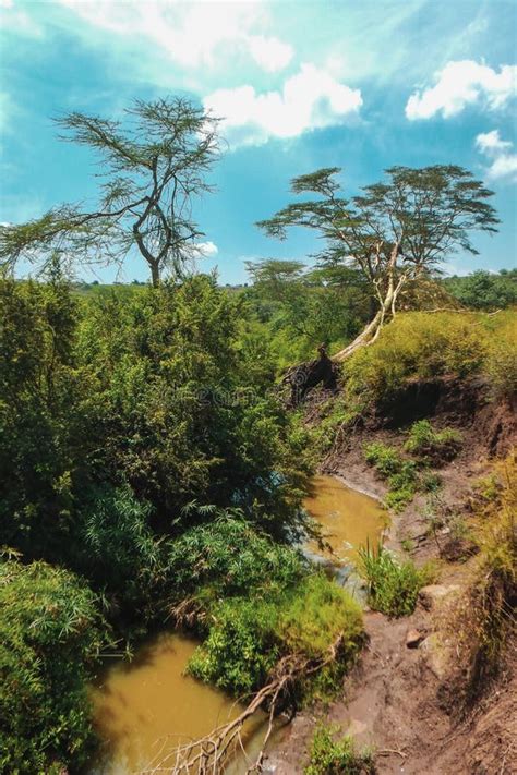 Scenic View Of Athi River In Nairobi National Park Kenya Stock Image