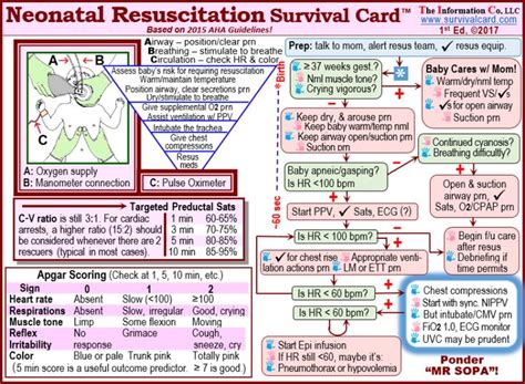 Foundations of neonatal resuscitation page 17 lesson 2. SURVIVAL CARDS quick reference/review for ACLS, PALS, NICU ...