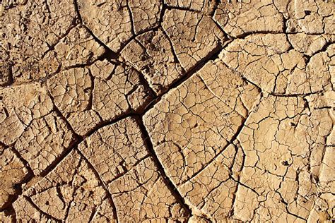 Soil Erosion Field Stock Photos Pictures And Royalty Free Images Istock