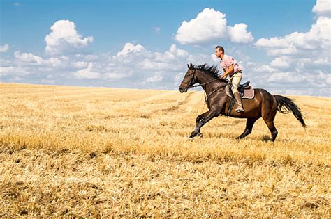 Man Riding Horse Pictures Images And Stock Photos Istock