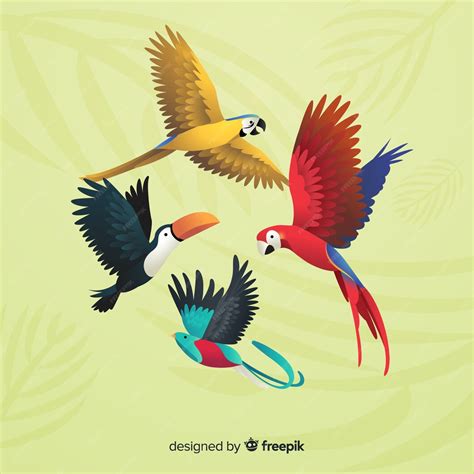Free Vector Pack Of Exotic Birds Realistic Style