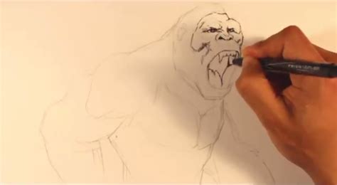 King Kong Drawing Drawing King Kong Step By Step With A 6b Pencil
